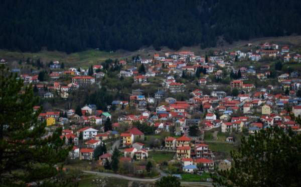 رشد درختی عجیب بر روی سقف کلیسا (عکس)